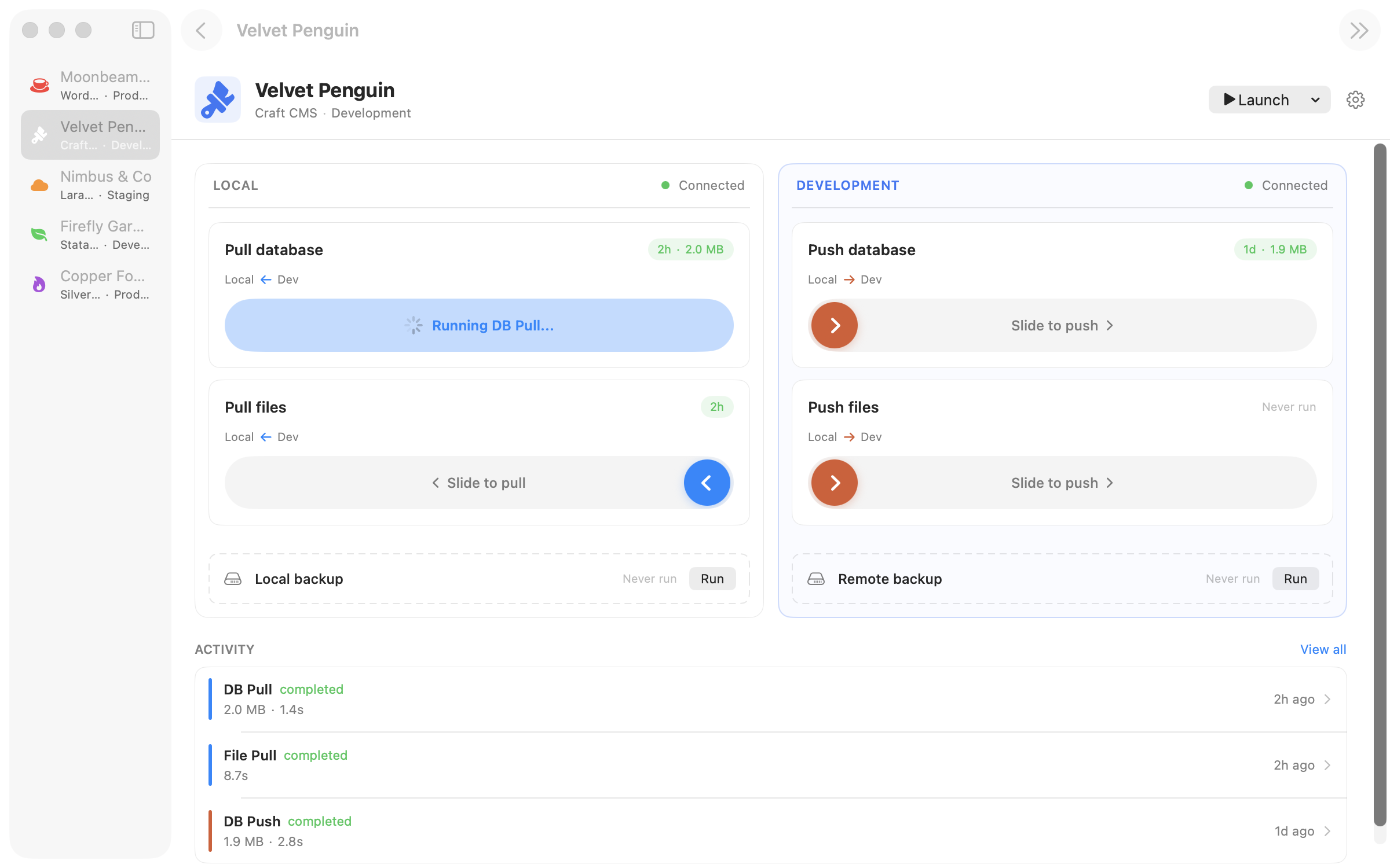 Database pull in progress on a Craft CMS site